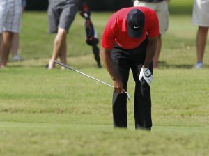 woods wgc 2014
