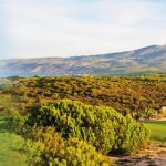 séjour golf oitavios classic portugal golf plus voyages