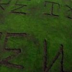 trump national golf vandalisé militants écologiste tiger woods